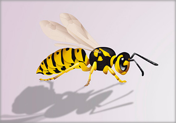 Dibujo Avispa